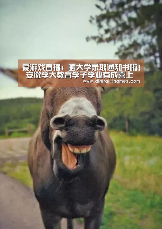 ayx下载