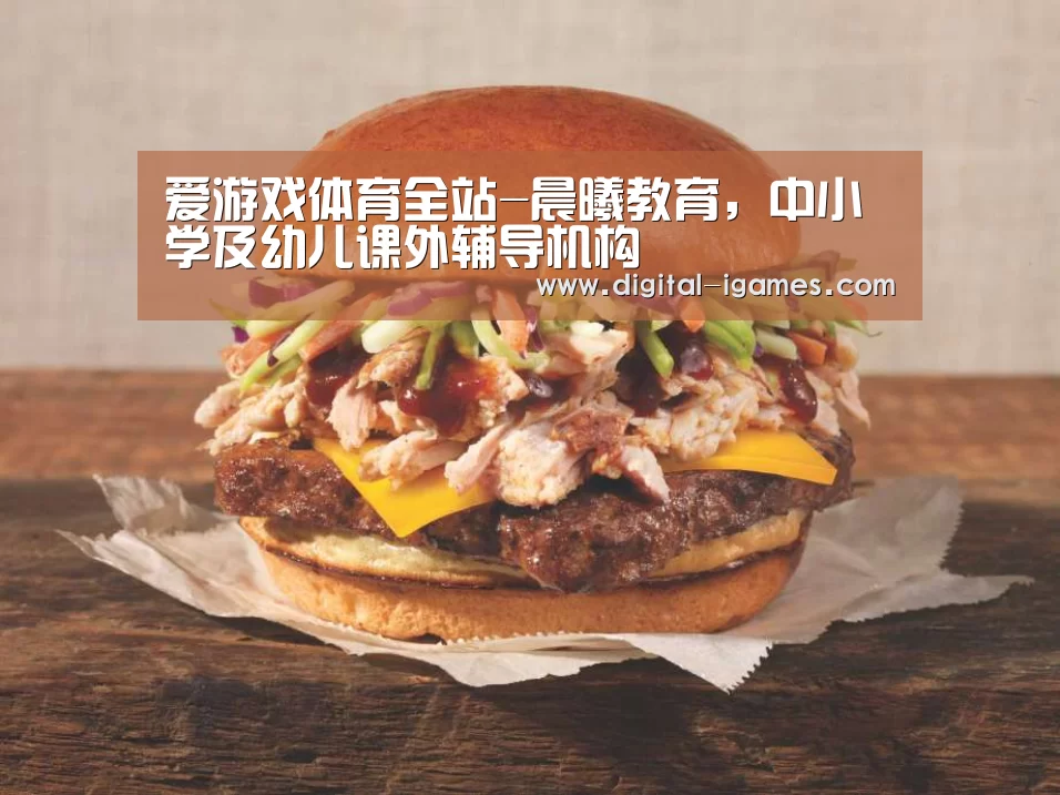 爱游戏体育全站