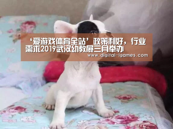 ‘爱游戏体育全站’政策利好,行业需求2019武汉幼教展三月举办(图2) 爱游戏官方