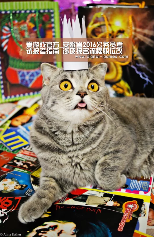 爱游戏体育全站