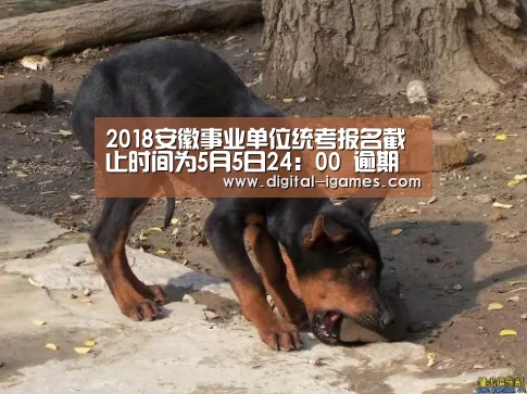 爱游戏官方