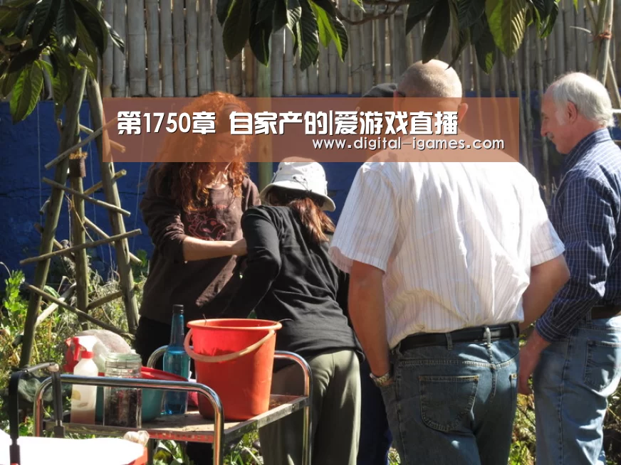 第1750章 自家产的|爱游戏直播(图4) 爱游戏官方